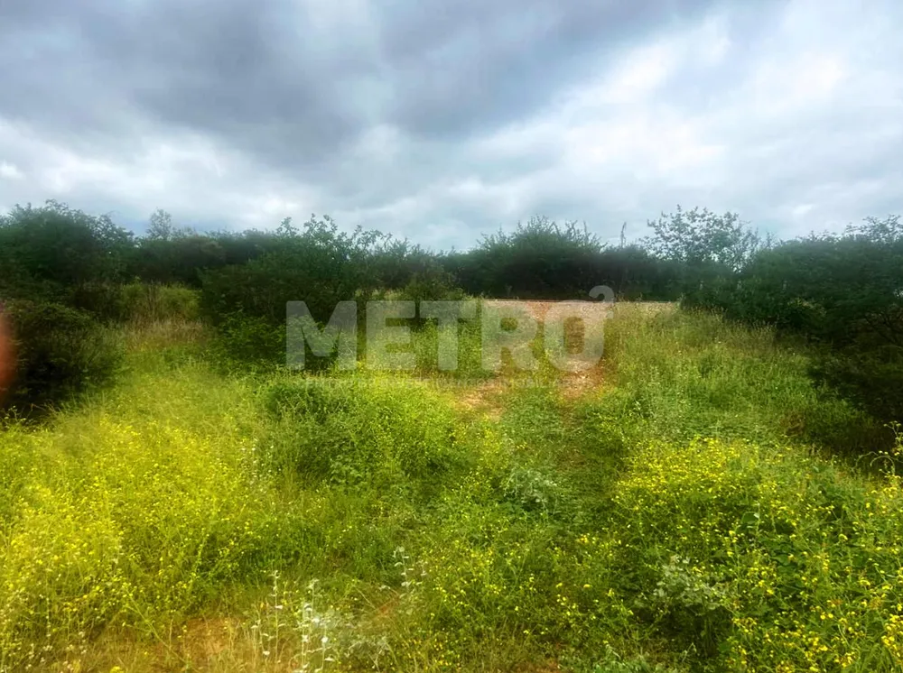 Fazenda - Foto 4