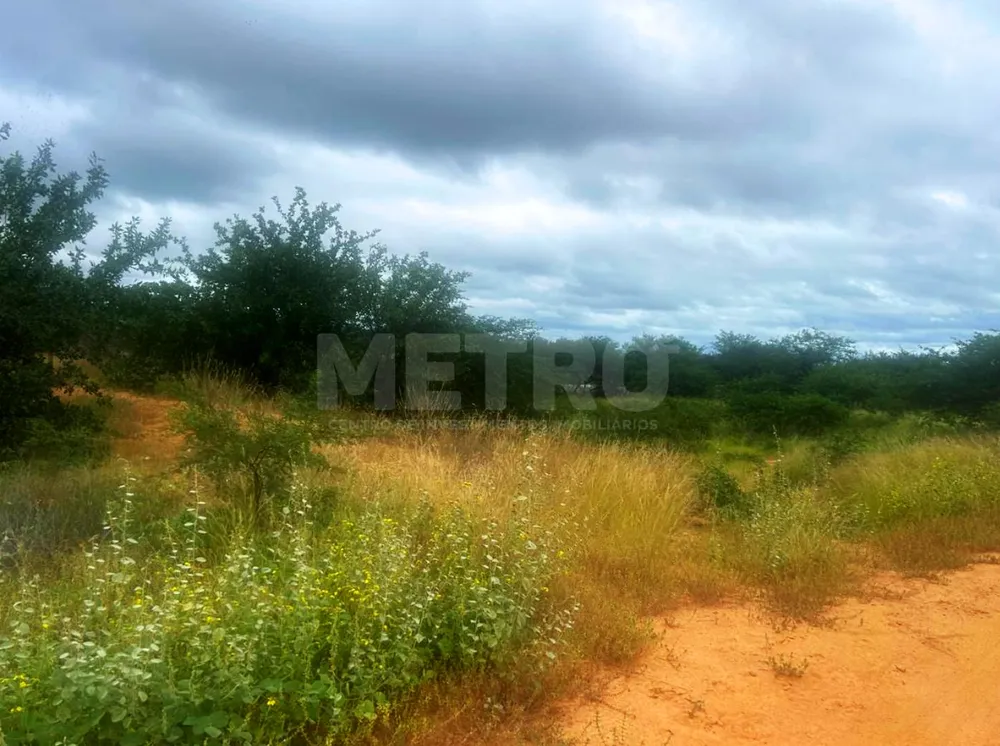 Fazenda - Foto 6