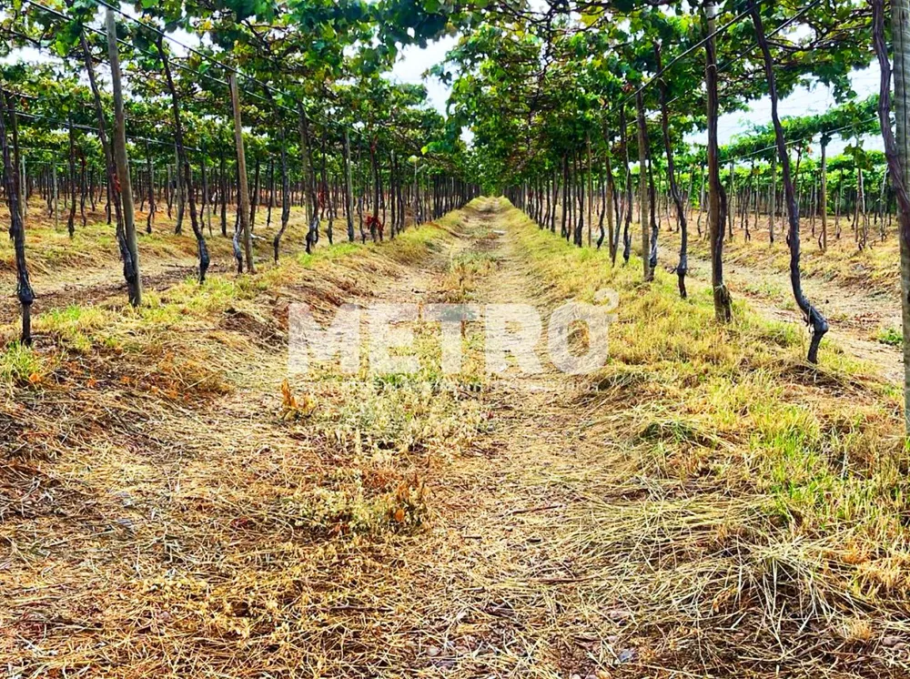 Fazenda - Foto 1