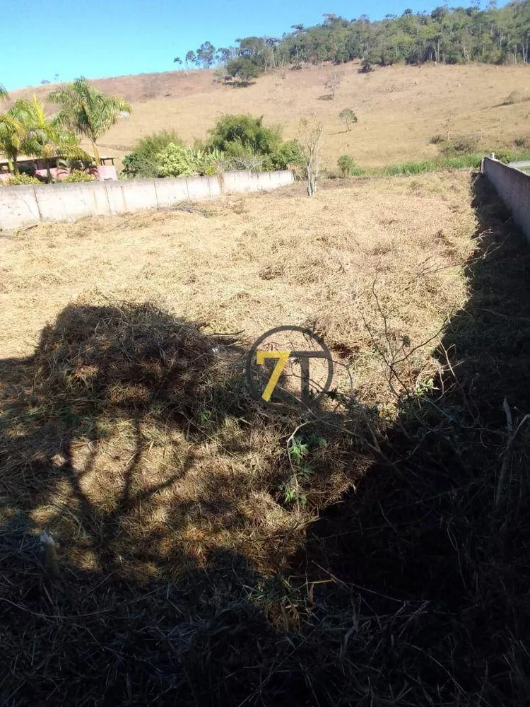 Loteamento e Condomínio à venda, 3000M2 - Foto 7