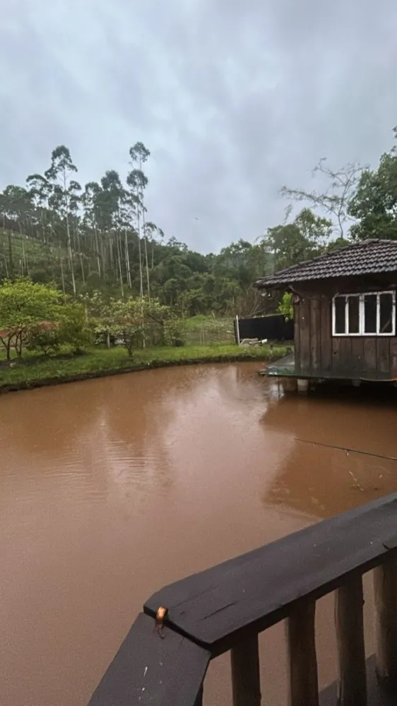 Chácara, 2 quartos, 1990 m² - Foto 3