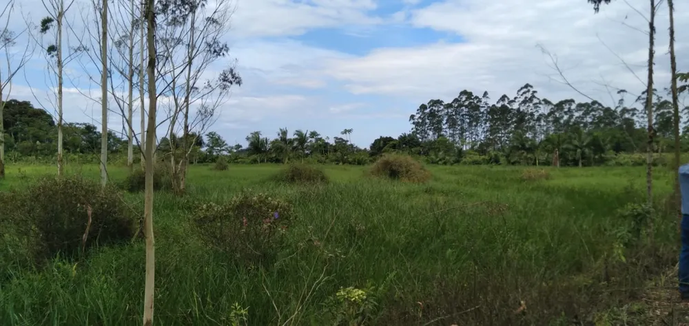Chácara, 2 hectares - Foto 3