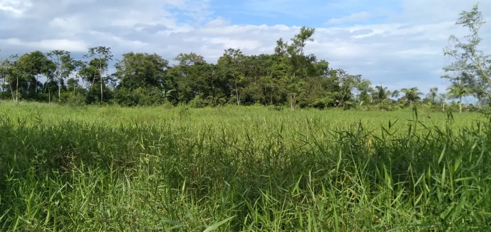 Chácara, 2 hectares - Foto 4