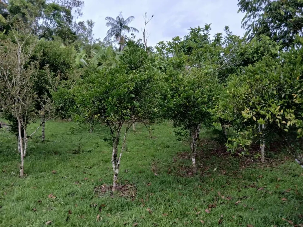 Chácara, 4 quartos, 4960 m² - Foto 6