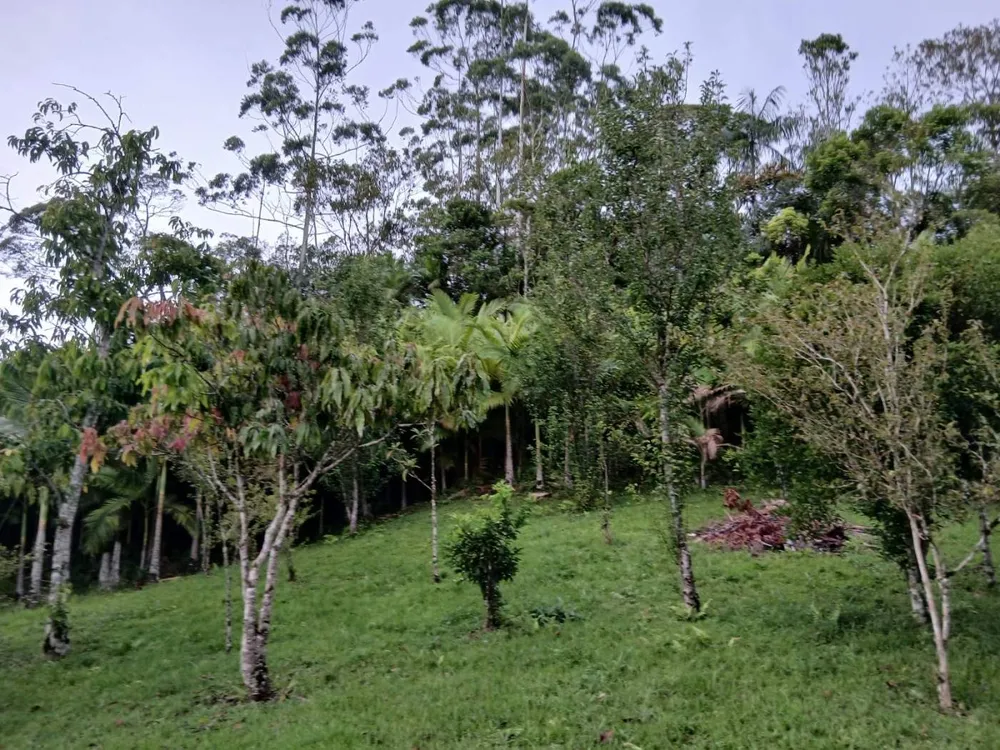 Chácara, 4 quartos, 4960 m² - Foto 7