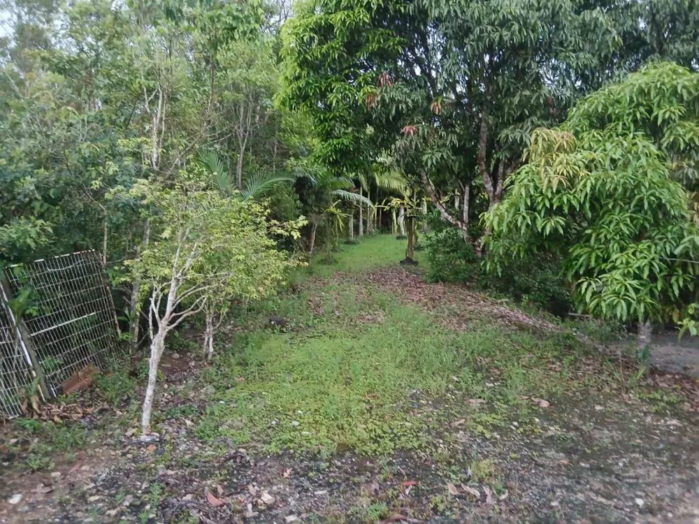 Chácara, 4 quartos, 4960 m² - Foto 12