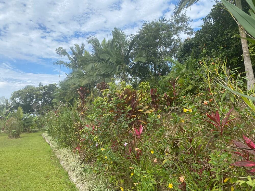 Chácara à venda com 5 quartos, 5270m² - Foto 28