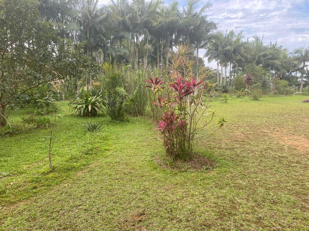 Chácara à venda com 5 quartos, 5270m² - Foto 29