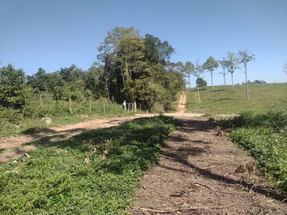 Chácara, 14 hectares - Foto 2