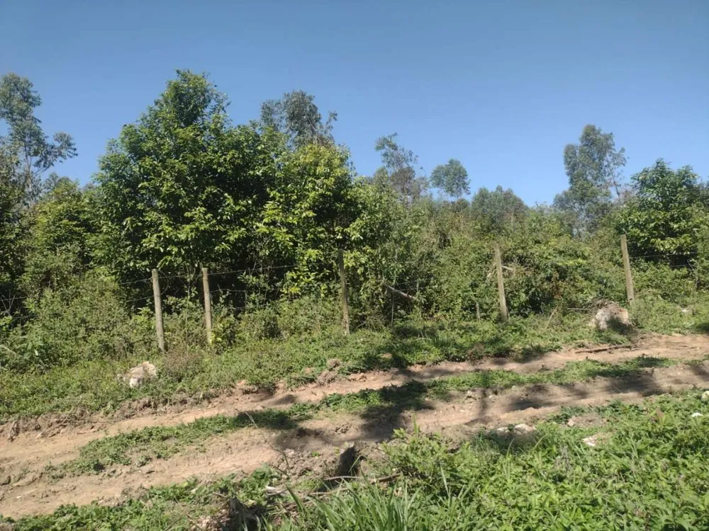 Chácara, 14 hectares - Foto 4
