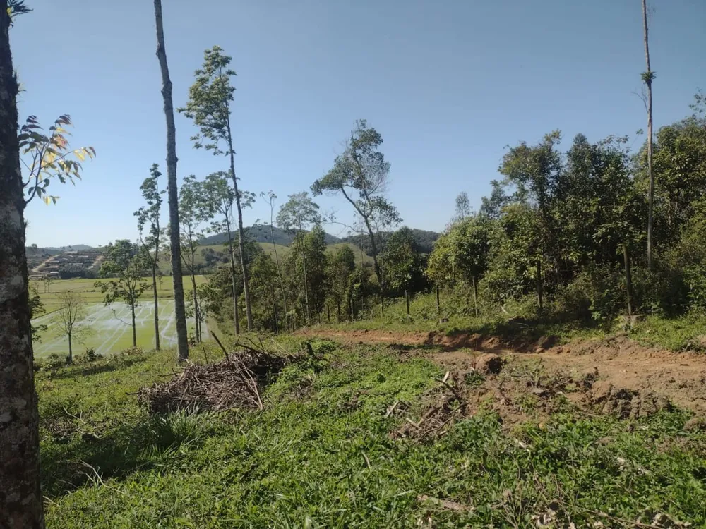 Chácara, 14 hectares - Foto 7