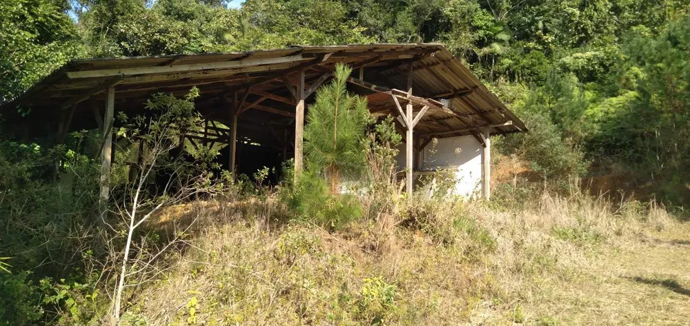 Chácara, 6 hectares - Foto 3
