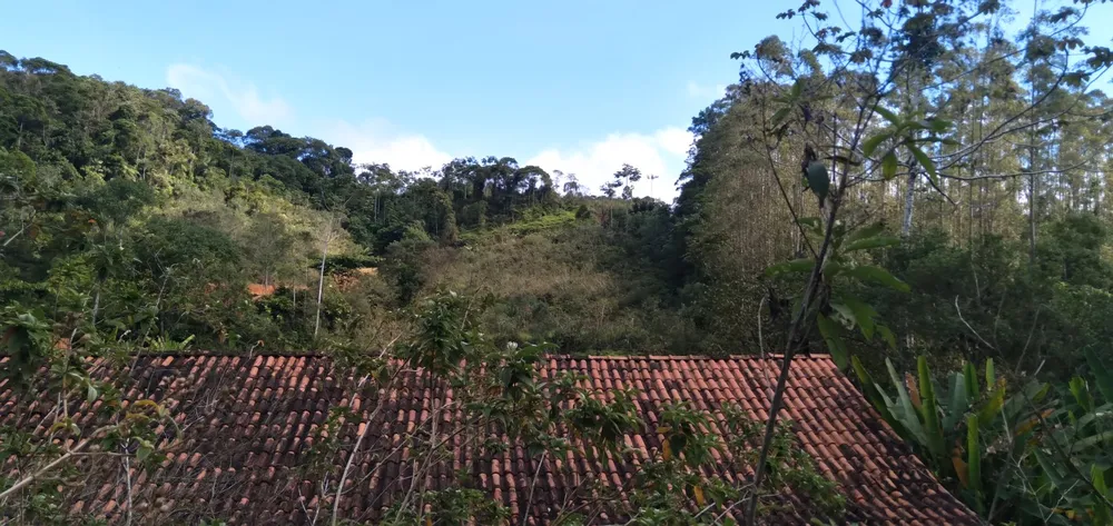 Chácara, 6 hectares - Foto 7