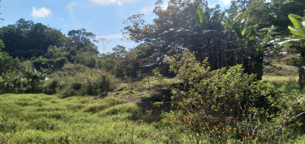 Chácara, 6 hectares - Foto 4