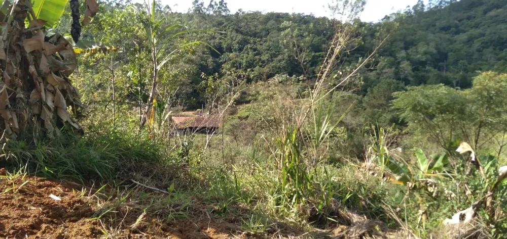 Chácara, 6 hectares - Foto 6