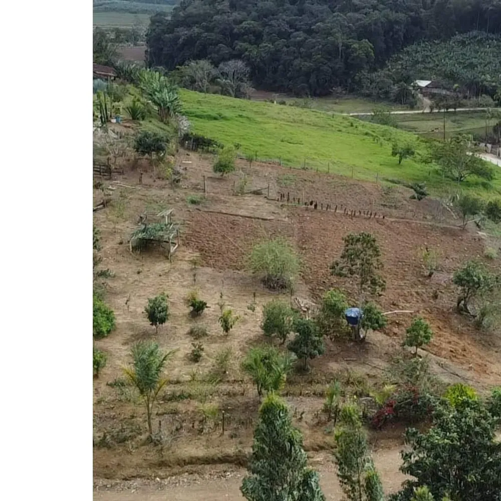 Chácara, 4455 m² - Foto 1