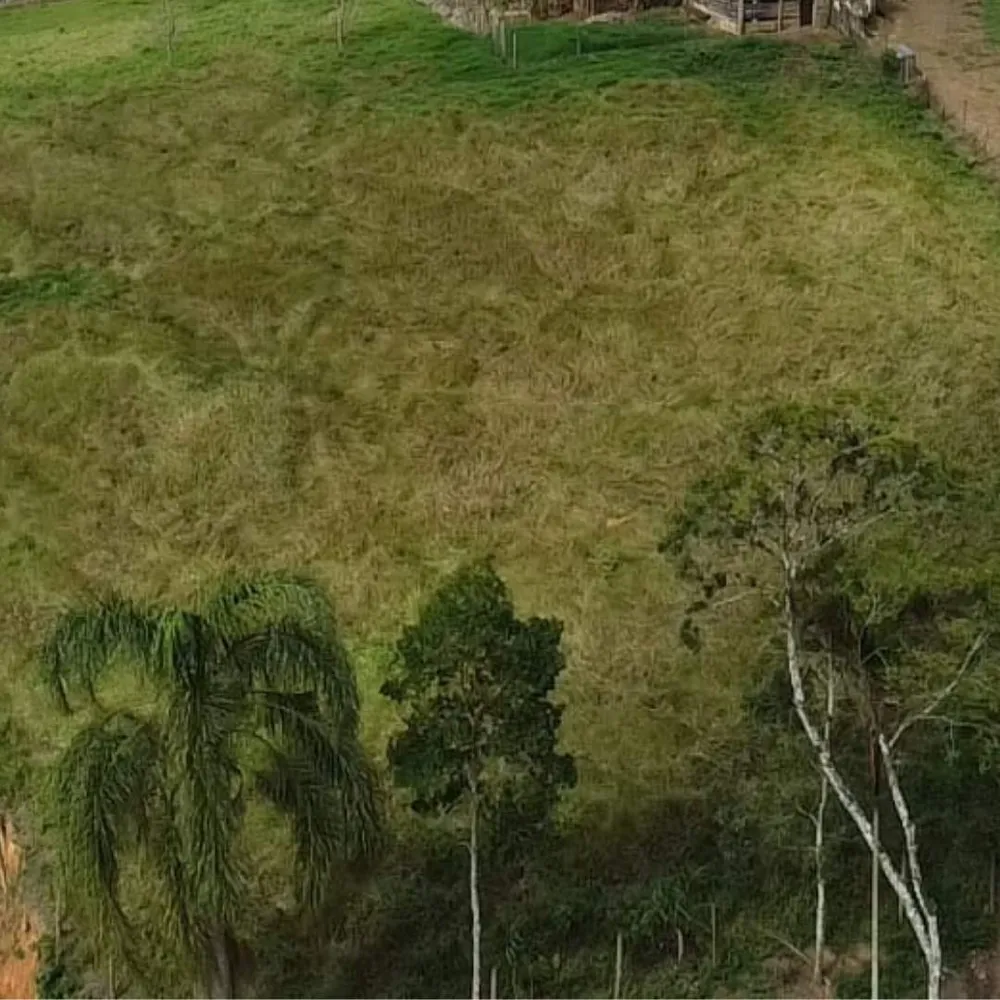 Chácara, 4455 m² - Foto 5