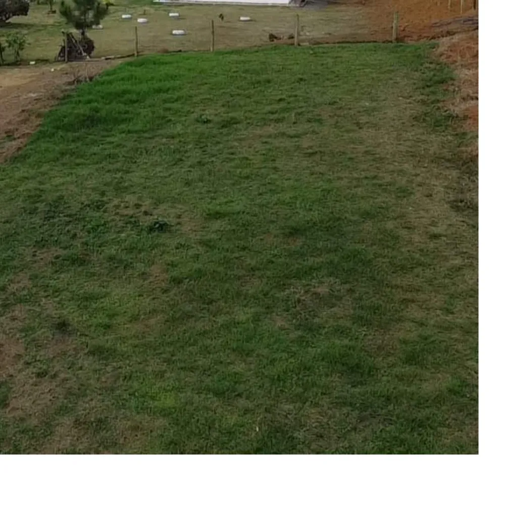 Chácara, 4455 m² - Foto 6