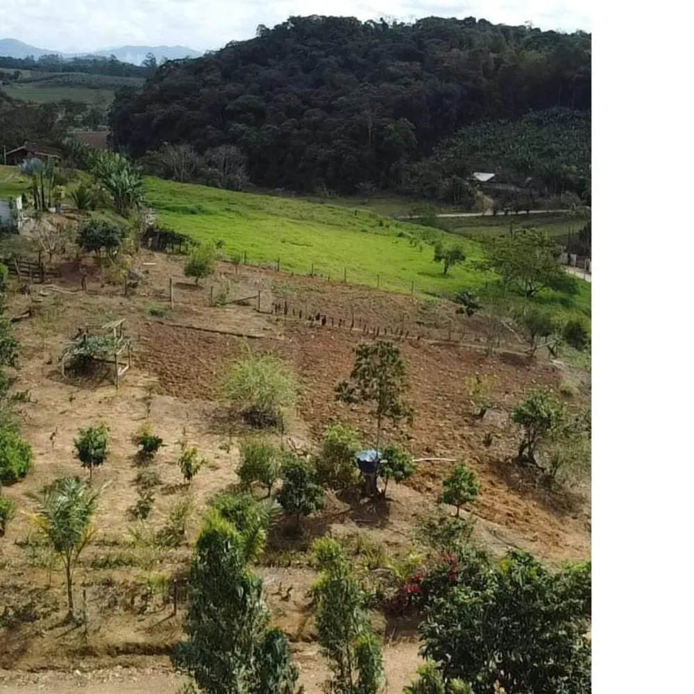 Chácara, 4455 m² - Foto 3