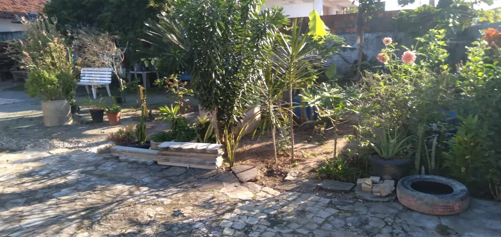 Casa, 3 quartos, 600 m² - Foto 4