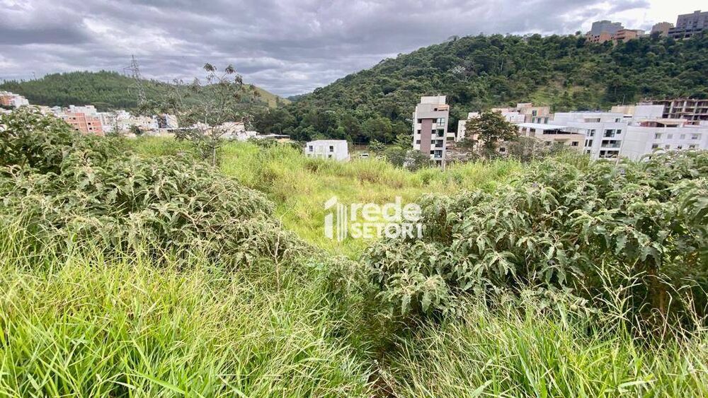 Terreno, 360 m² - Foto 8