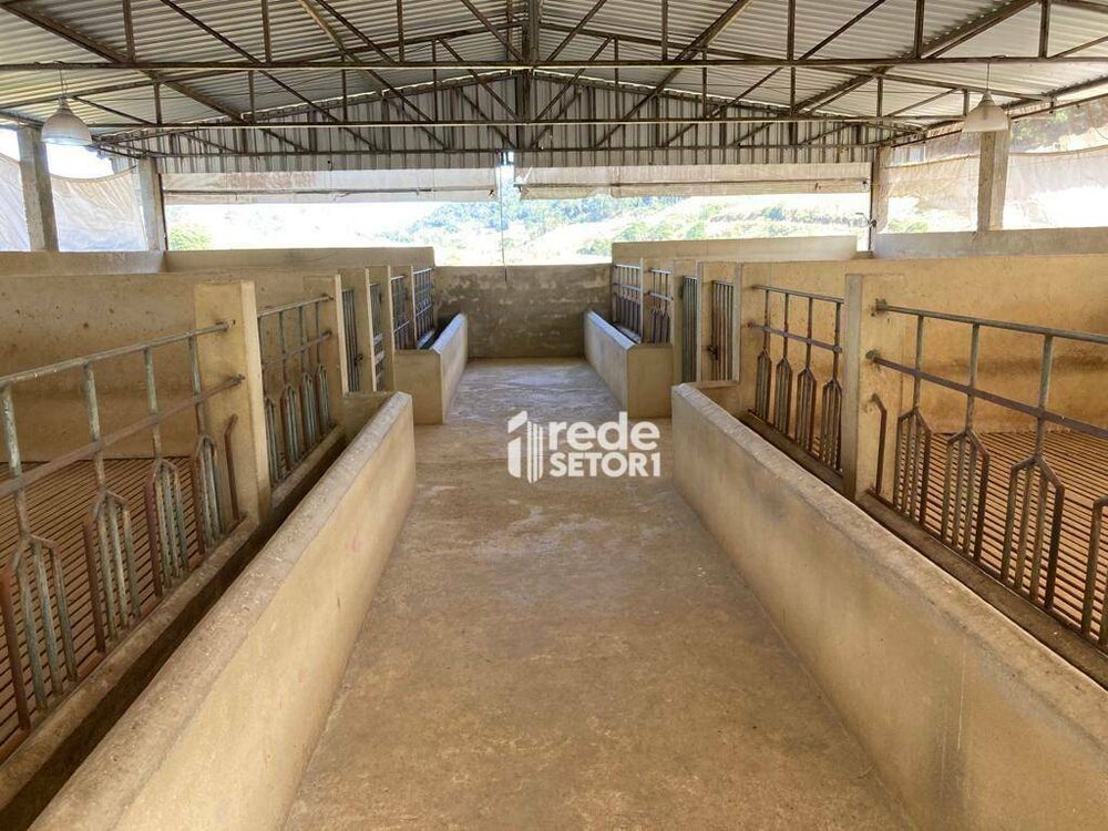 Fazenda à venda com 5 quartos, 338800M2 - Foto 16