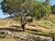 Fazenda-Sítio-Chácara, 34 hectares - Foto 7