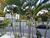 Apartamento, 3 quartos, 113 m² - Foto 2
