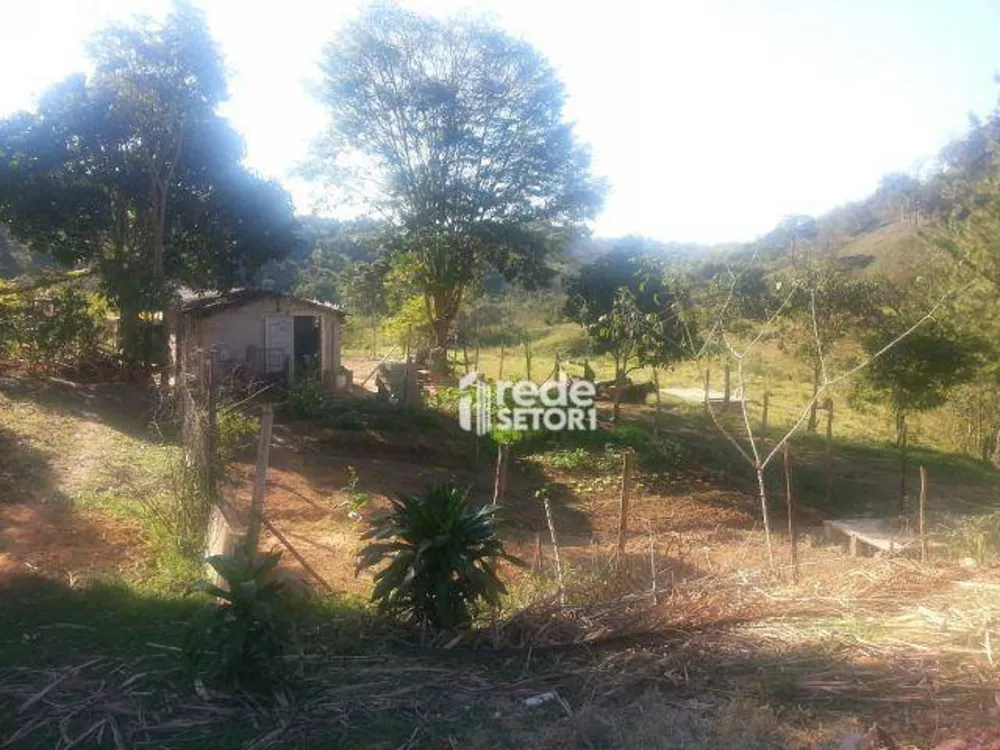 Sítio, 3 quartos, 29 hectares - Foto 3