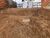Terreno, 302 m² - Foto 2