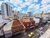 Apartamento, 4 quartos, 95 m² - Foto 4