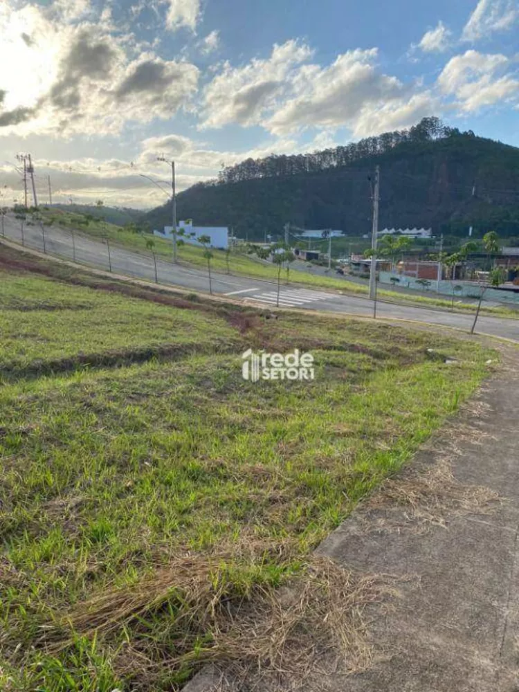 Loteamento e Condomínio, 353 m² - Foto 4