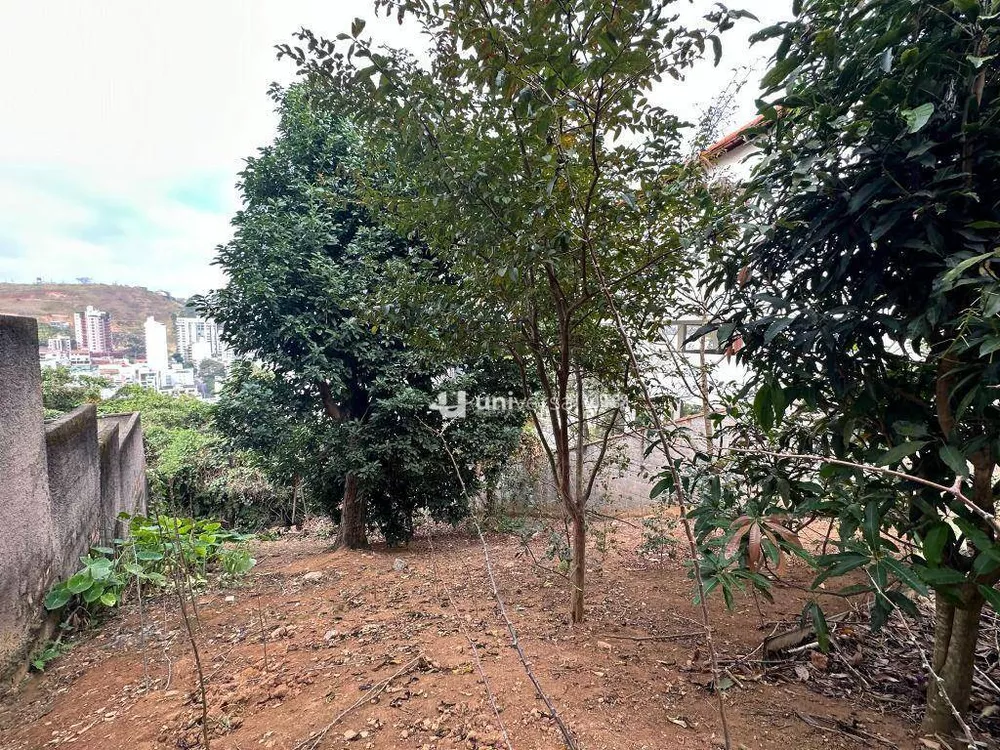 Terreno, 322 m² - Foto 3