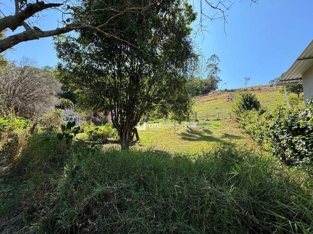 Terreno, 3 hectares - Foto 3