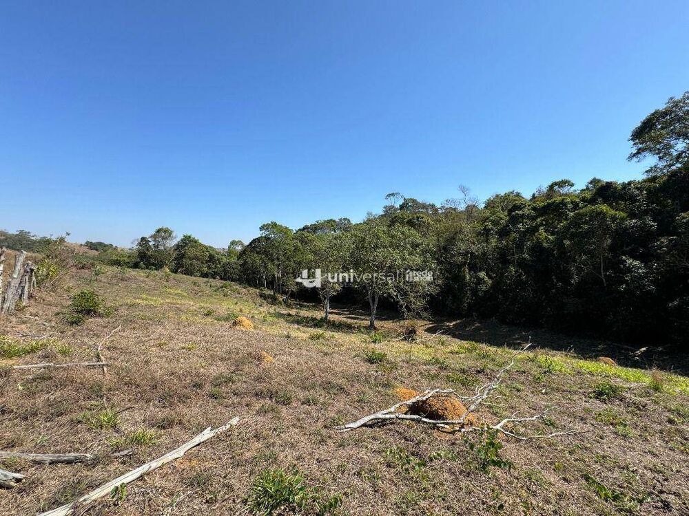 Terreno, 3 hectares - Foto 4