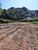 Terreno, 2180 m² - Foto 2