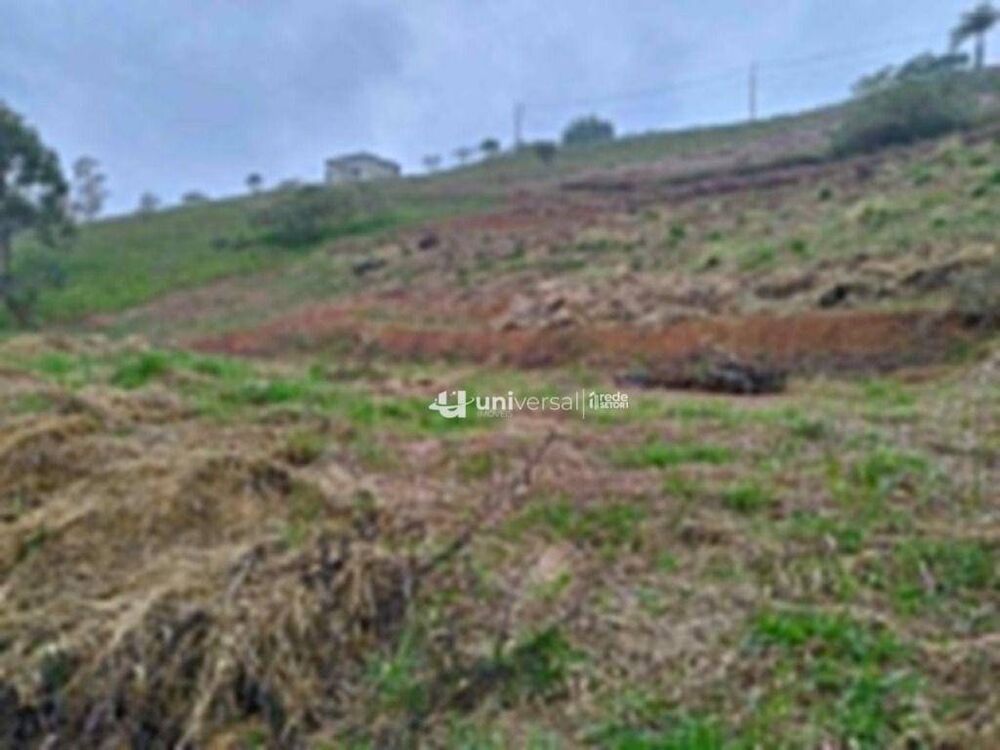 Loteamento e Condomínio, 3000 m² - Foto 4