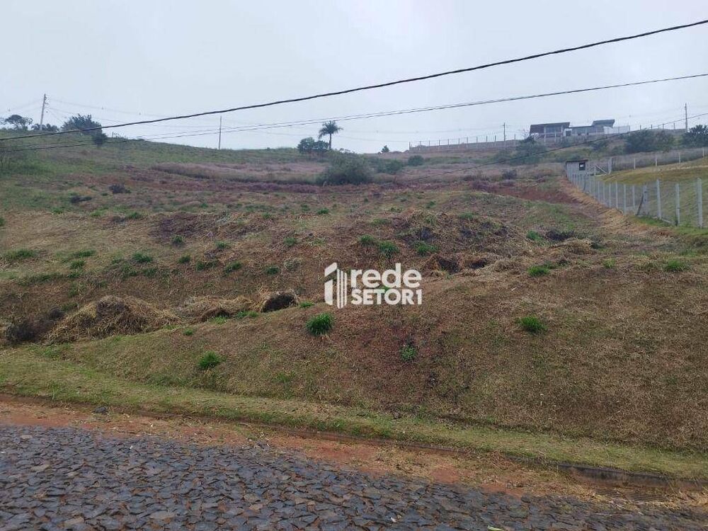 Loteamento e Condomínio, 3000 m² - Foto 3