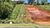 Loteamento e Condomínio, 979 m² - Foto 3