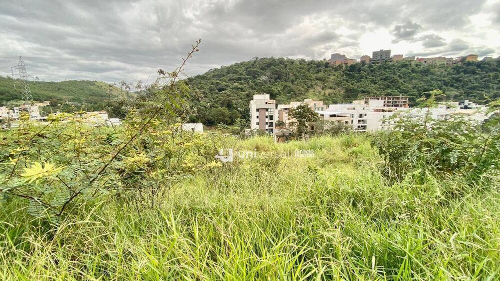 Terreno, 360 m² - Foto 7