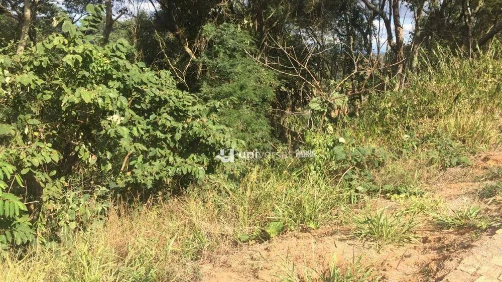 Loteamento e Condomínio, 1580 m² - Foto 13