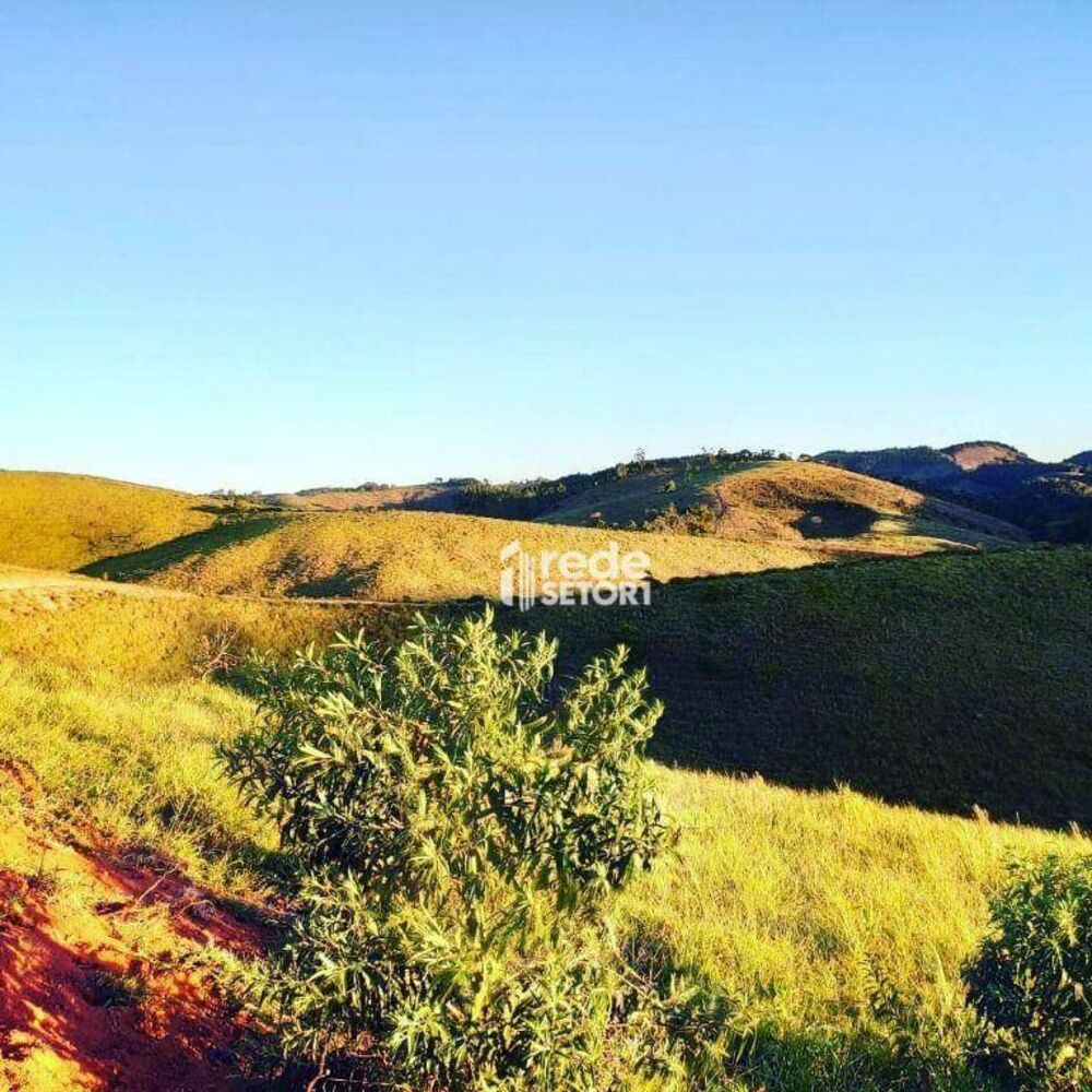 Terreno à venda, 20000M2 - Foto 2