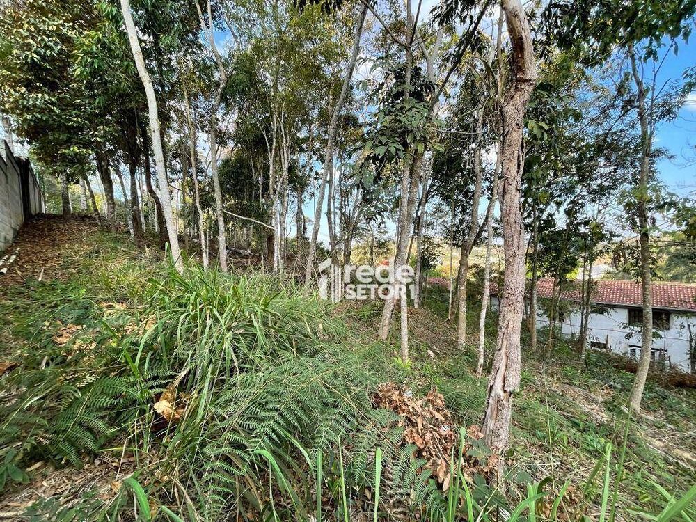 Loteamento e Condomínio à venda, 1800M2 - Foto 1