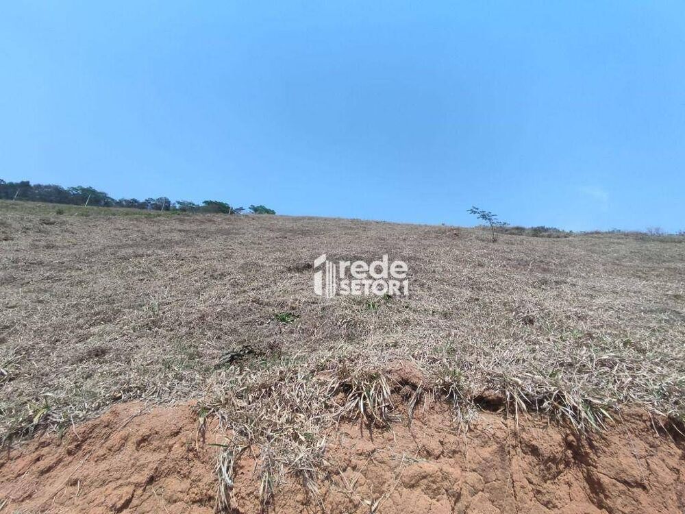 Loteamento e Condomínio, 3002 m² - Foto 6