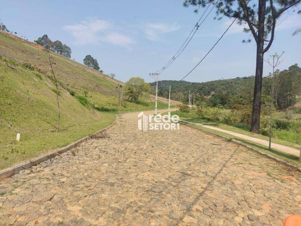 Loteamento e Condomínio, 3002 m² - Foto 3