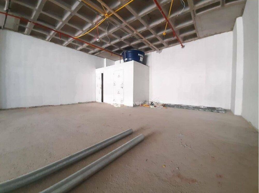 Sala-Conjunto, 520 m² - Foto 2