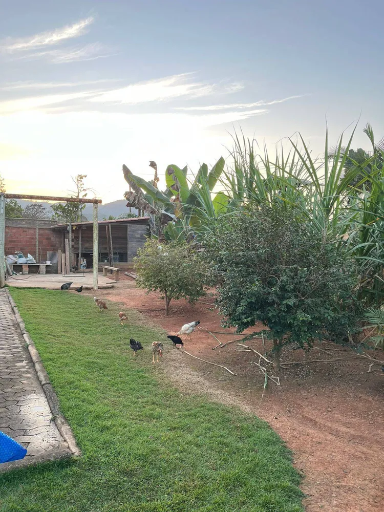 Chácara, 3 quartos, 1500 m² - Foto 4