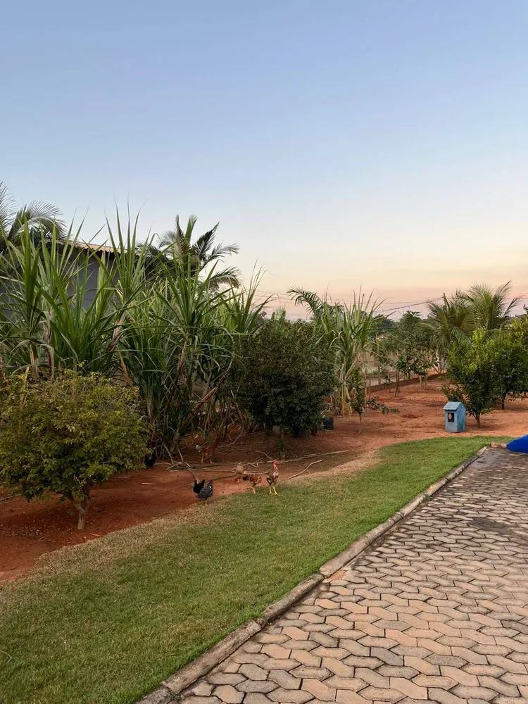 Chácara, 3 quartos, 1500 m² - Foto 3