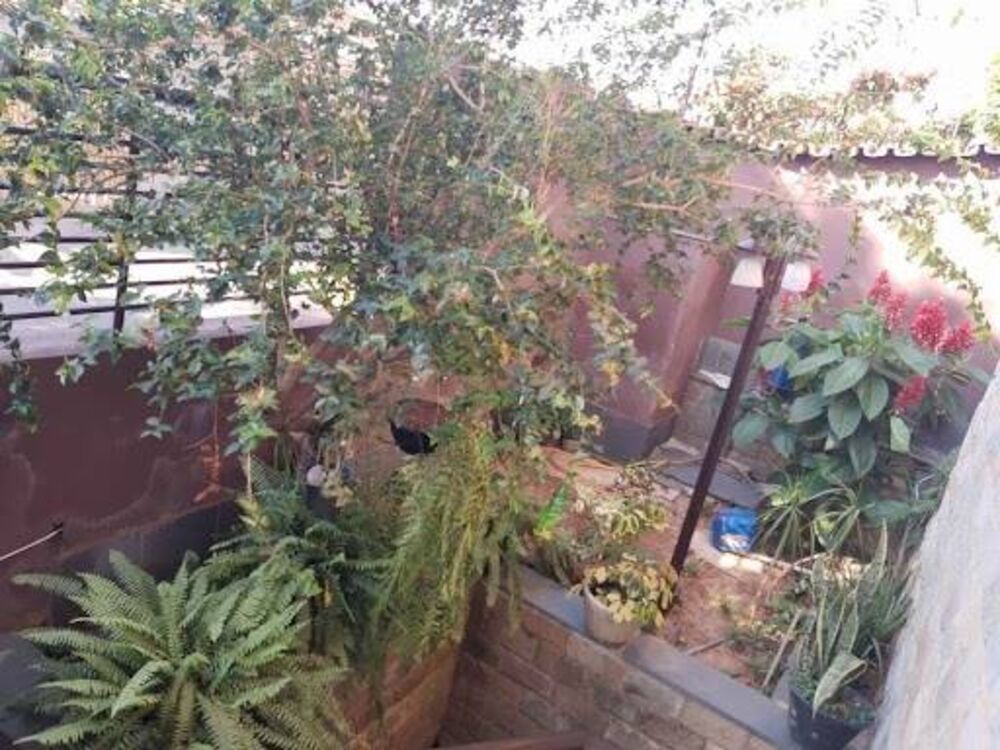 Casa, 4 quartos, 300 m² - Foto 4