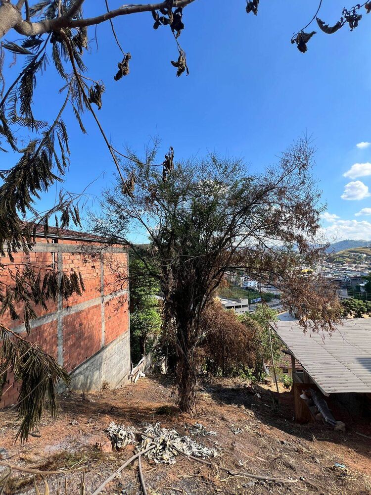Terreno à venda, 360m² - Foto 2